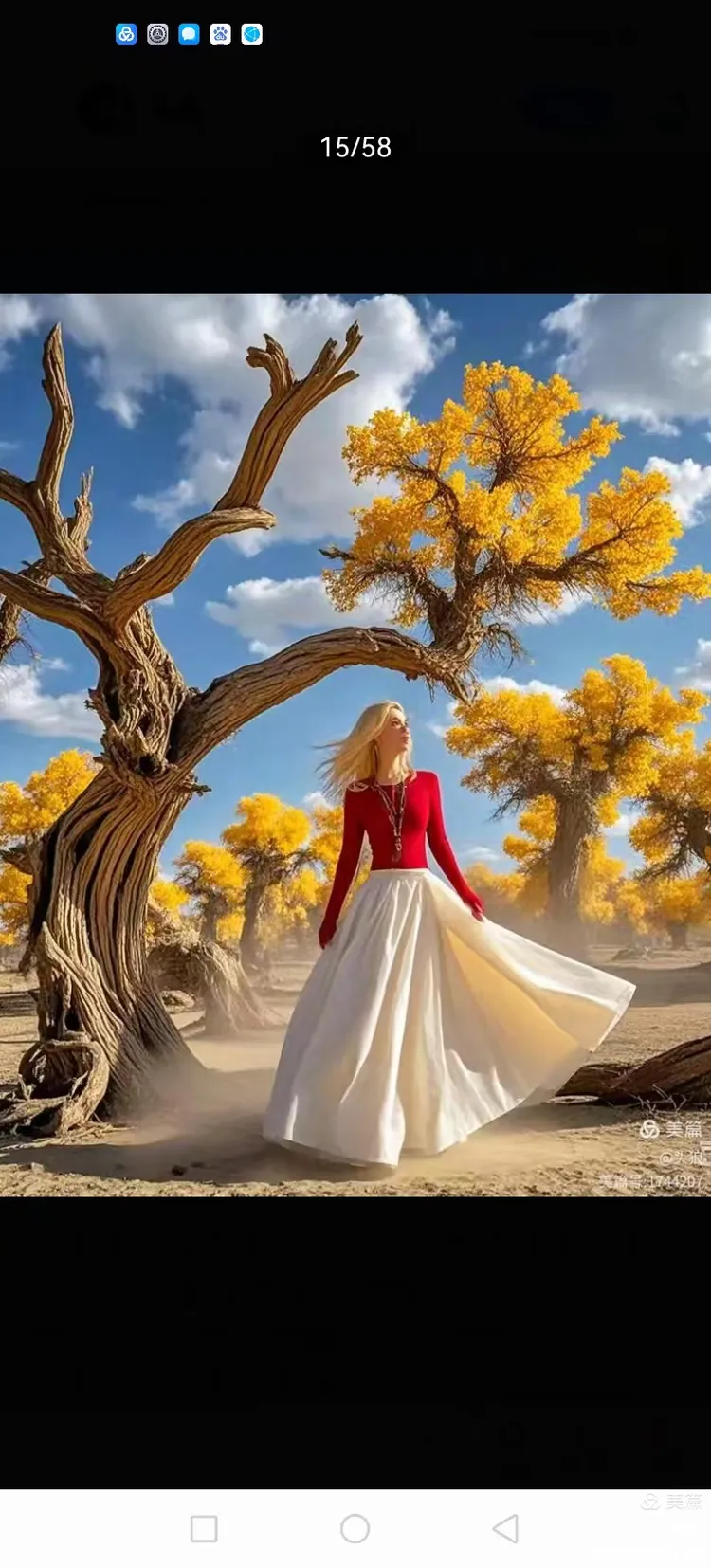 年不死☞死后三千年不倒☞倒后三千年不朽的沙漠生命绿洲☞胡杨